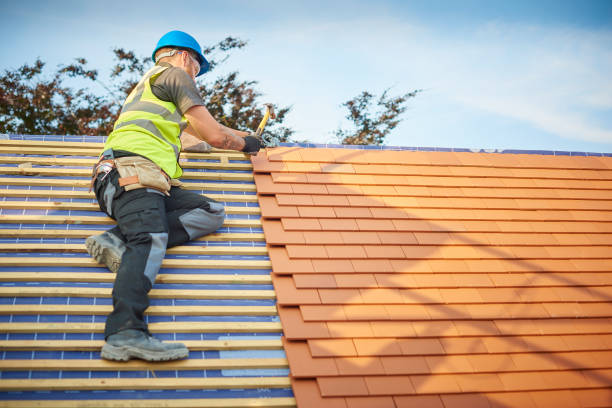 Best Roof Moss and Algae Removal  in Lexington, KY